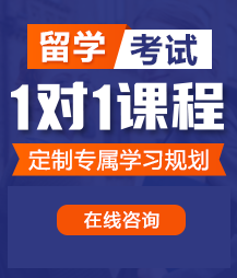 美女被内射狂操网站留学考试一对一精品课